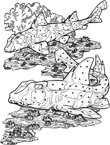 Horn Sharks Coloring Page